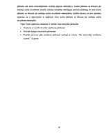 Prakses atskaite 'Prakse Valsts ieņēmumu dienestā', 40.