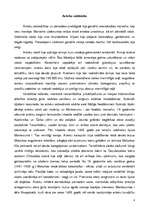 Referāts 'Acteku kultūra', 8.