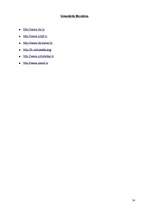 Referāts 'Acteku kultūra', 14.