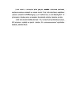 Diplomdarbs 'Nelaimes gadījumi darba vietā', 8.
