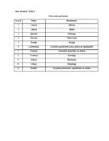 Paraugs 'Mācību stundas plāns sociālajās zinībās 9.klasei par tēmu "Parlaments"', 3.