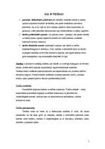 Referāts 'Tiesības un pienākumi', 7.