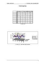 Referāts 'Anglijas iedzīvotāji', 5.