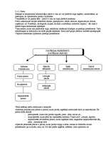 Konspekts 'Mārketings', 15.