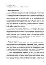 Referāts 'Filmas "300: Termopiļu kauja" vēsturiskais patiesums', 24.