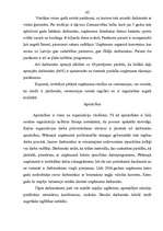 Diplomdarbs 'Organizāciju kultūra un to ietekmējošie faktori uzņēmumā', 42.