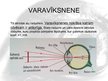 Prezentācija 'Cilvēka acs, redze, tās defekti', 4.