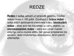 Prezentācija 'Cilvēka acs, redze, tās defekti', 8.