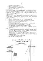 Referāts 'Latvijas Pašvaldību savienība', 4.