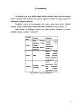 Referāts 'Kurināmais un kurtuves', 4.