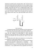 Referāts 'Kurināmais un kurtuves', 23.