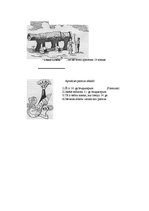 Paraugs '11.klases uzdevumi un atbildes kultūras vēsturē', 1.