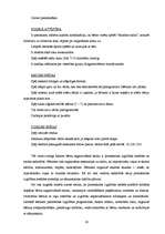 Diplomdarbs 'Pirmsskolas izglītības iestādes iespējas bērna sagatavošanai skolai', 25.