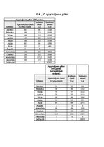 Paraugs 'SIA "S" finanšu analīze', 2.