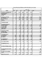 Paraugs 'SIA "S" finanšu analīze', 5.