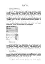 Konspekts 'Nafta un citi derīgie izrakteņi', 1.