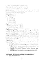 Referāts 'Uzņēmuma darbības stratēģija', 2.