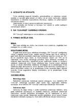 Referāts 'Uzņēmuma darbības stratēģija', 5.