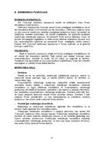 Referāts 'Uzņēmuma darbības stratēģija', 10.