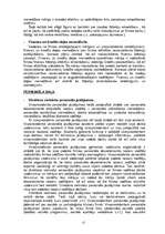 Referāts 'Uzņēmuma darbības stratēģija', 13.