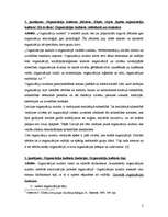 Konspekts 'Organizāciju kultūra. Organizāciju kultūras tipi un funkcijas', 2.