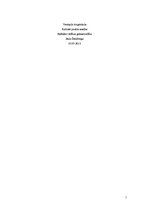 Konspekts 'Kritiskā punkta analīze', 1.