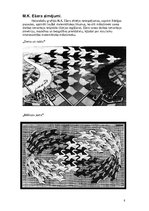 Referāts 'Optiskās ilūzijas', 8.