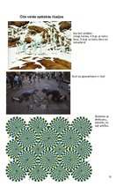 Referāts 'Optiskās ilūzijas', 10.