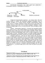 Referāts 'Noziedznieka raksturojums', 10.