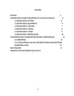 Referāts 'Intervence kā konfliktu regulēšanas mehānisms', 3.