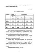 Referāts 'Saimniekošanas projekts z/s "Aņas"', 16.