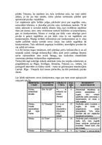 Biznesa plāns 'Sabiedrības ar ierobežotu atbildību “I&J”', 6.