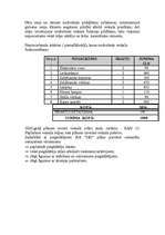 Biznesa plāns 'Sabiedrības ar ierobežotu atbildību “I&J”', 9.