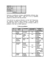 Biznesa plāns 'Sabiedrības ar ierobežotu atbildību “I&J”', 11.