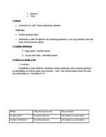 Referāts 'Sabiedrisko attiecību izstrādes plāns', 2.