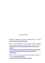 Referāts 'Starptautisko aizdevēju viedokļu atspoguļojums medijos', 6.