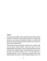 Referāts 'Ideāla valsts', 17.