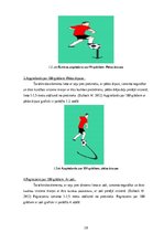 Diplomdarbs 'Bumbas vadīšana, pagriezieni, apmācības metodika futbolā bērniem 7-12 gadu vecum', 10.