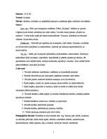 Prakses atskaite 'Integrēto mācību prakse sākumskolā', 1.