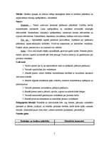 Prakses atskaite 'Integrēto mācību prakse sākumskolā', 7.