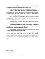 Prakses atskaite 'Integrēto mācību prakse sākumskolā', 12.