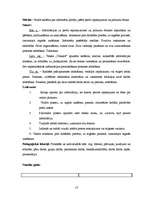 Prakses atskaite 'Integrēto mācību prakse sākumskolā', 13.