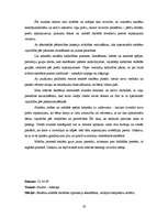 Prakses atskaite 'Integrēto mācību prakse sākumskolā', 19.