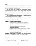 Prakses atskaite 'Integrēto mācību prakse sākumskolā', 20.