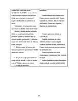 Prakses atskaite 'Integrēto mācību prakse sākumskolā', 24.