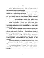 Prakses atskaite 'Integrēto mācību prakse sākumskolā', 25.