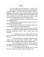 Prakses atskaite 'Integrēto mācību prakse sākumskolā', 26.