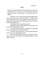 Prakses atskaite 'Integrēto mācību prakse sākumskolā', 28.