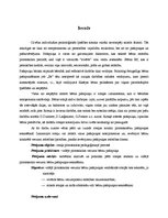 Referāts 'Vidējā pirmsskolas vecuma bērnu pašapziņas sekmēšana rotaļā', 4.