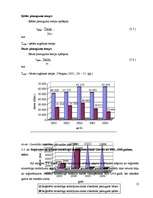 Referāts 'Noziedzības statistika Latvijā laika periodā no 2002.-2006.gadam', 13.